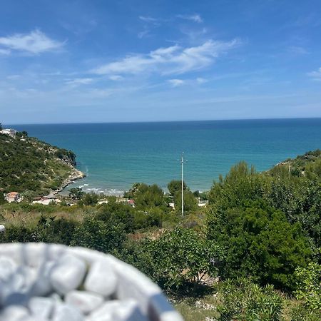 דירות פסקיצ'י Trilocale 2 Sul Mare מראה חיצוני תמונה